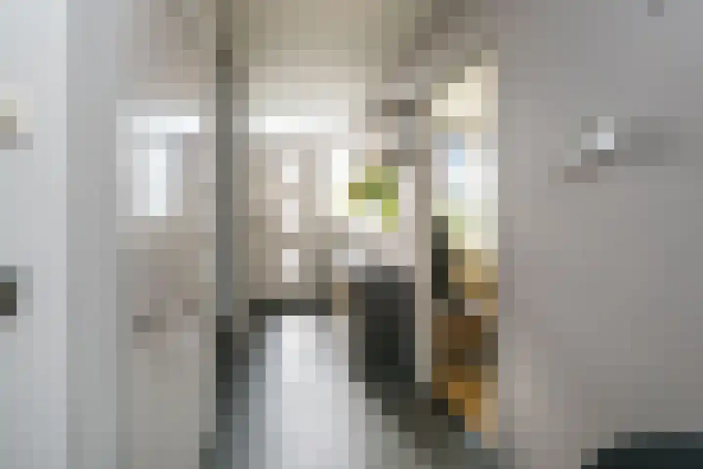Walravenstraat 11 Haaften thumbnail 8