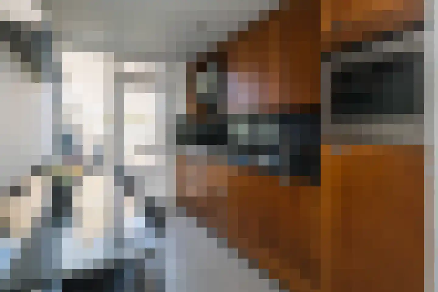Walravenstraat 11 Haaften thumbnail 9