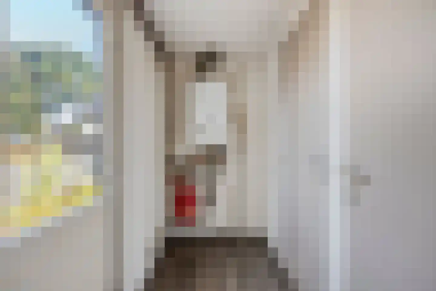 Walravenstraat 4 Uden thumbnail 10
