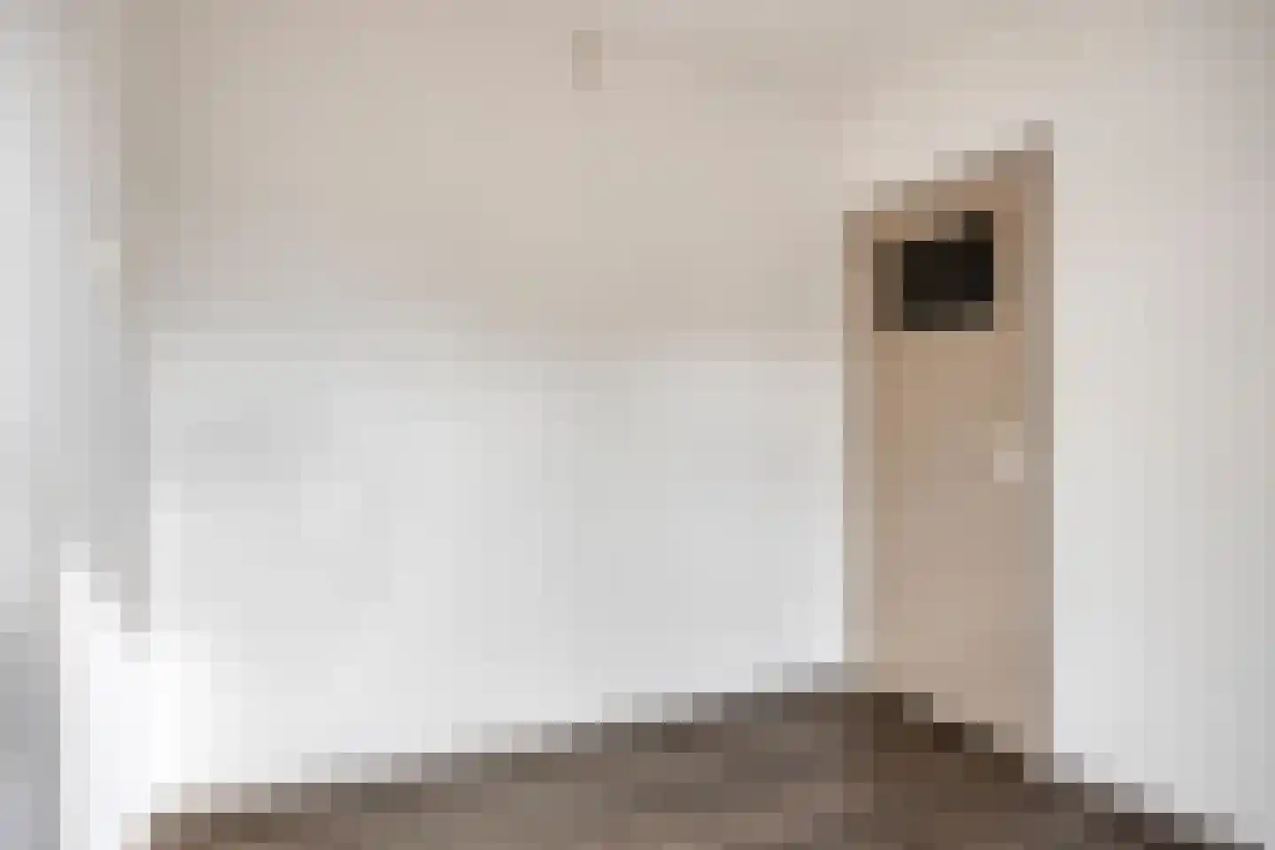 Walravenstraat 4 Uden thumbnail 16