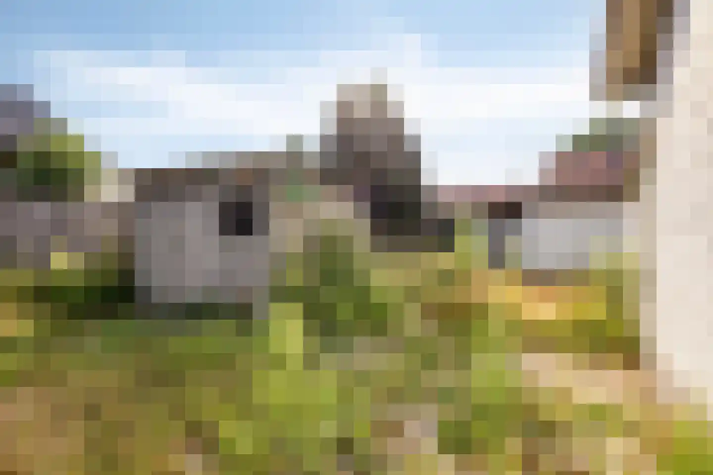 Walravenstraat 4 Uden thumbnail 20