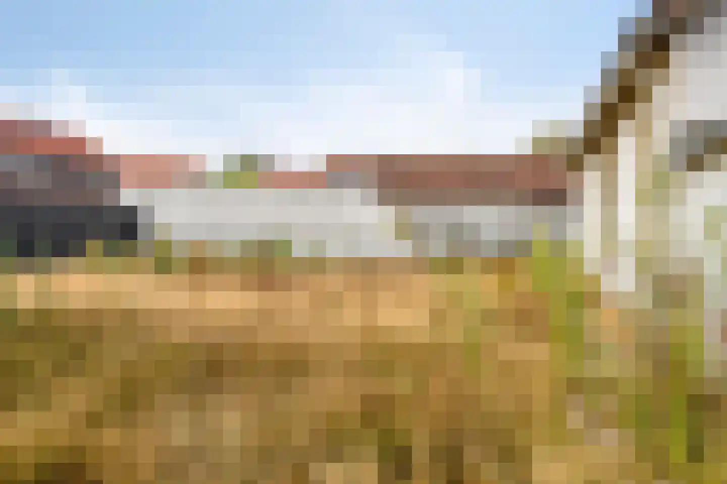 Walravenstraat 4 Uden thumbnail 23