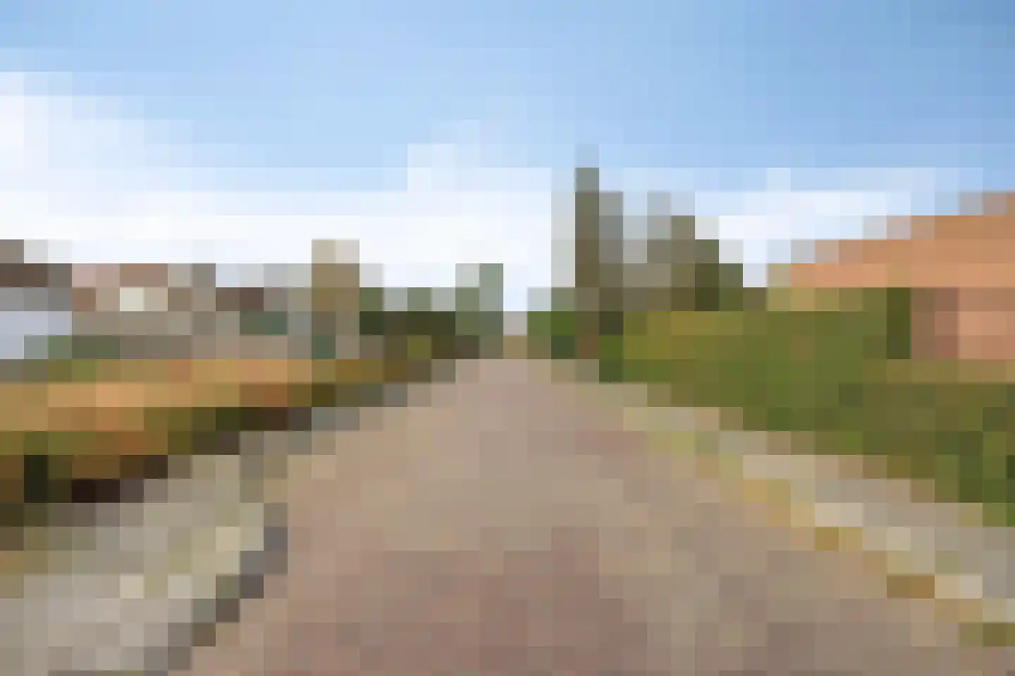 Walravenstraat 4 Uden thumbnail 26