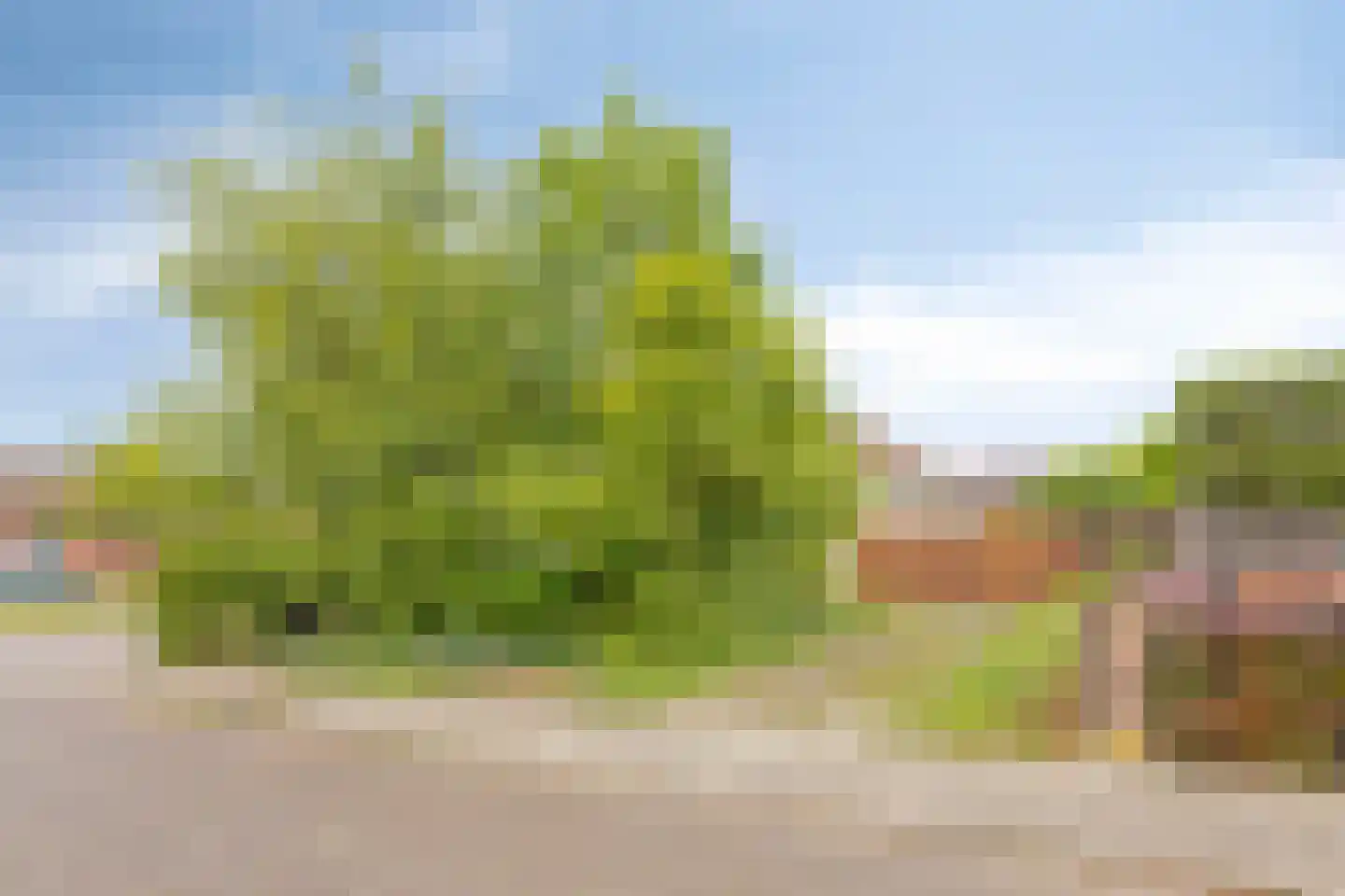 Walravenstraat 5 Uden thumbnail 27