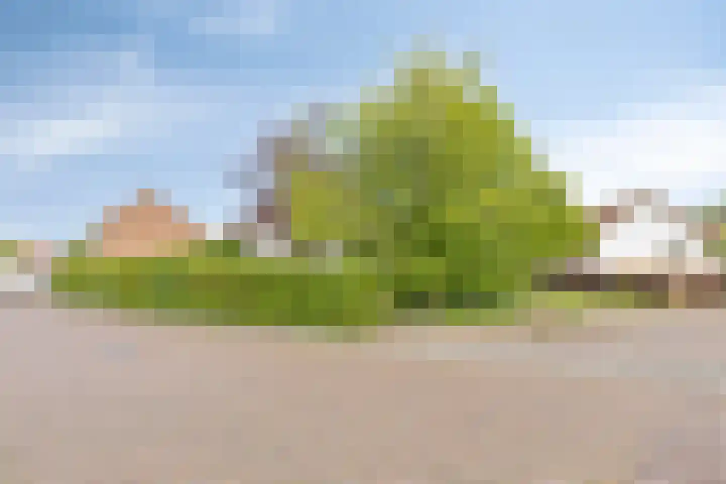 Walravenstraat 5 Uden thumbnail 29