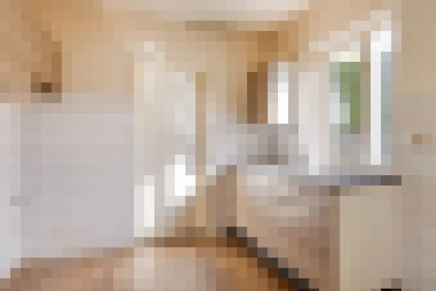 Walravenstraat 5 Uden thumbnail 9