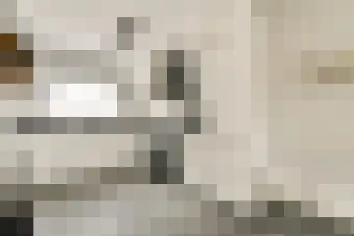 Wals 33 Zaandam thumbnail 10