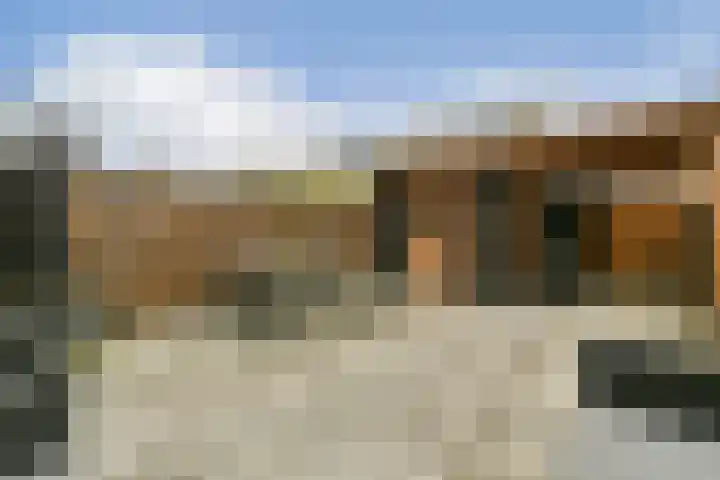 Wals 33 Zaandam thumbnail 11