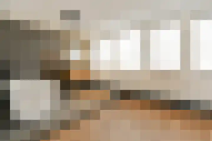 Wals 33 Zaandam thumbnail 24