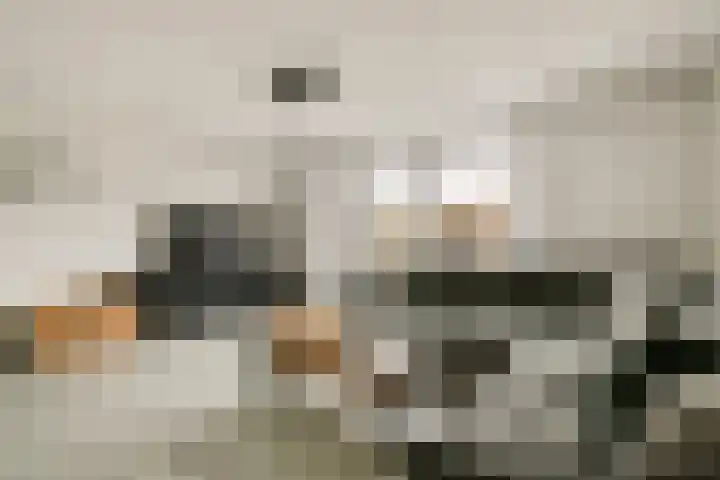 Wals 33 Zaandam thumbnail 8