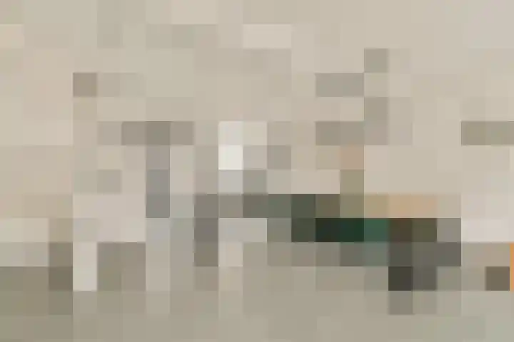 Wals 33 Zaandam thumbnail 9