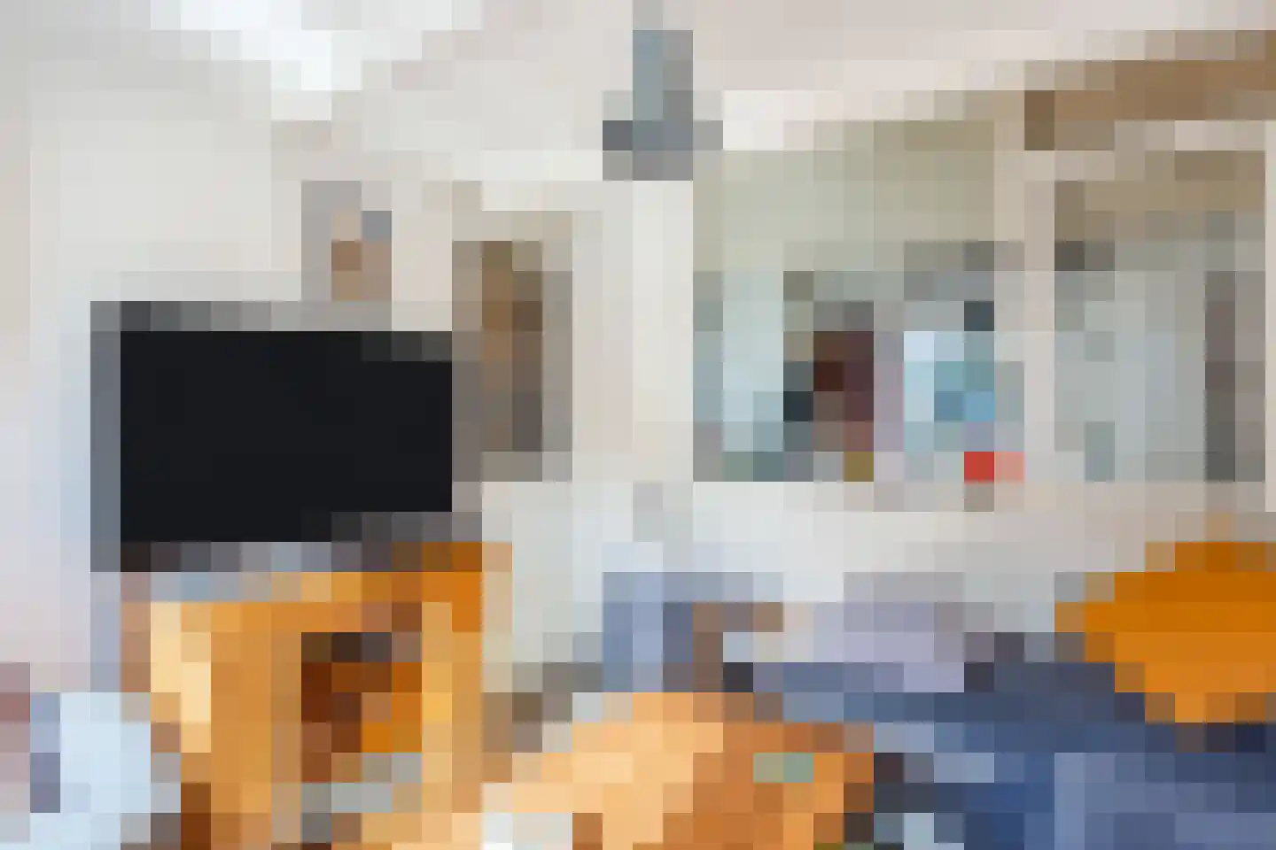 Walsekamp 12 Harderwijk thumbnail 16