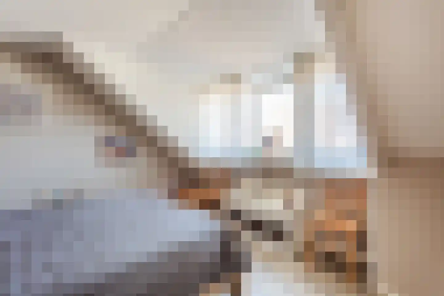 Walsekamp 12 Harderwijk thumbnail 19