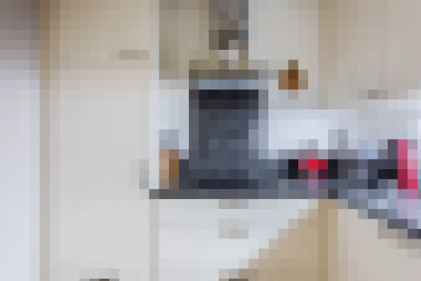 Walsekamp 12 Harderwijk thumbnail 9