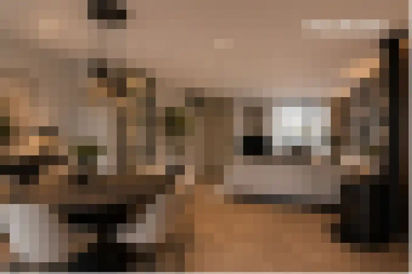 Walsekamp 18 Harderwijk thumbnail 6