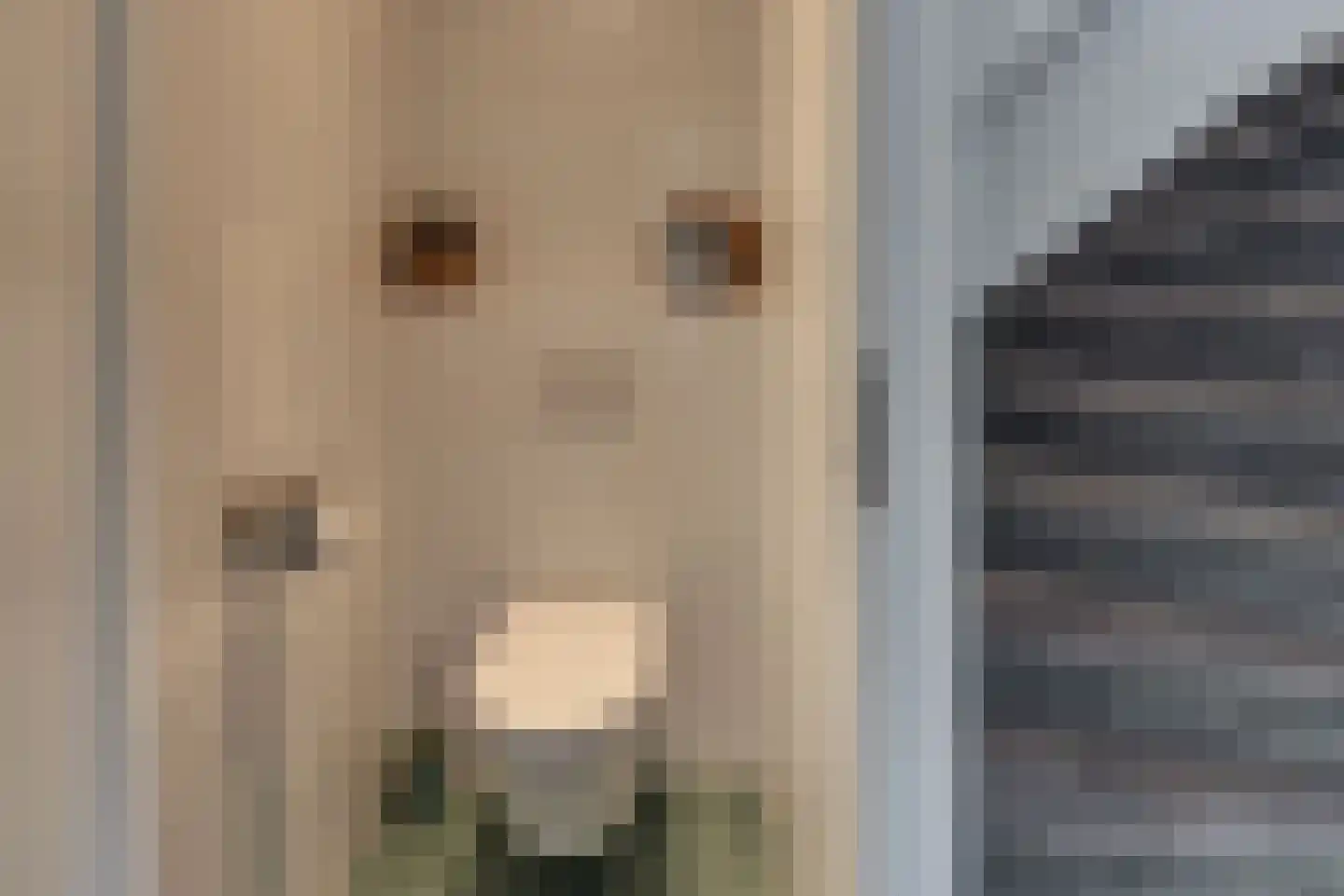 Walsekamp 24 Harderwijk thumbnail 31
