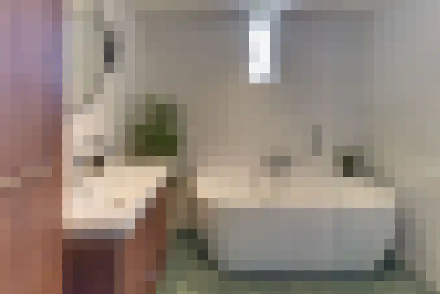 Walsekamp 24 Harderwijk thumbnail 32