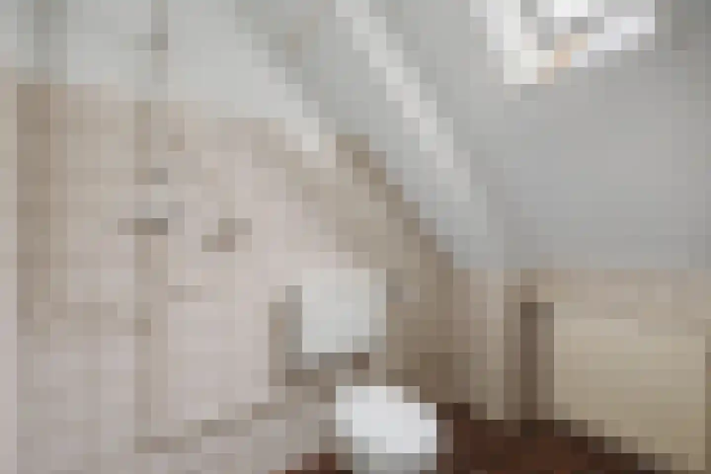 Walserij 2 Alkmaar thumbnail 18