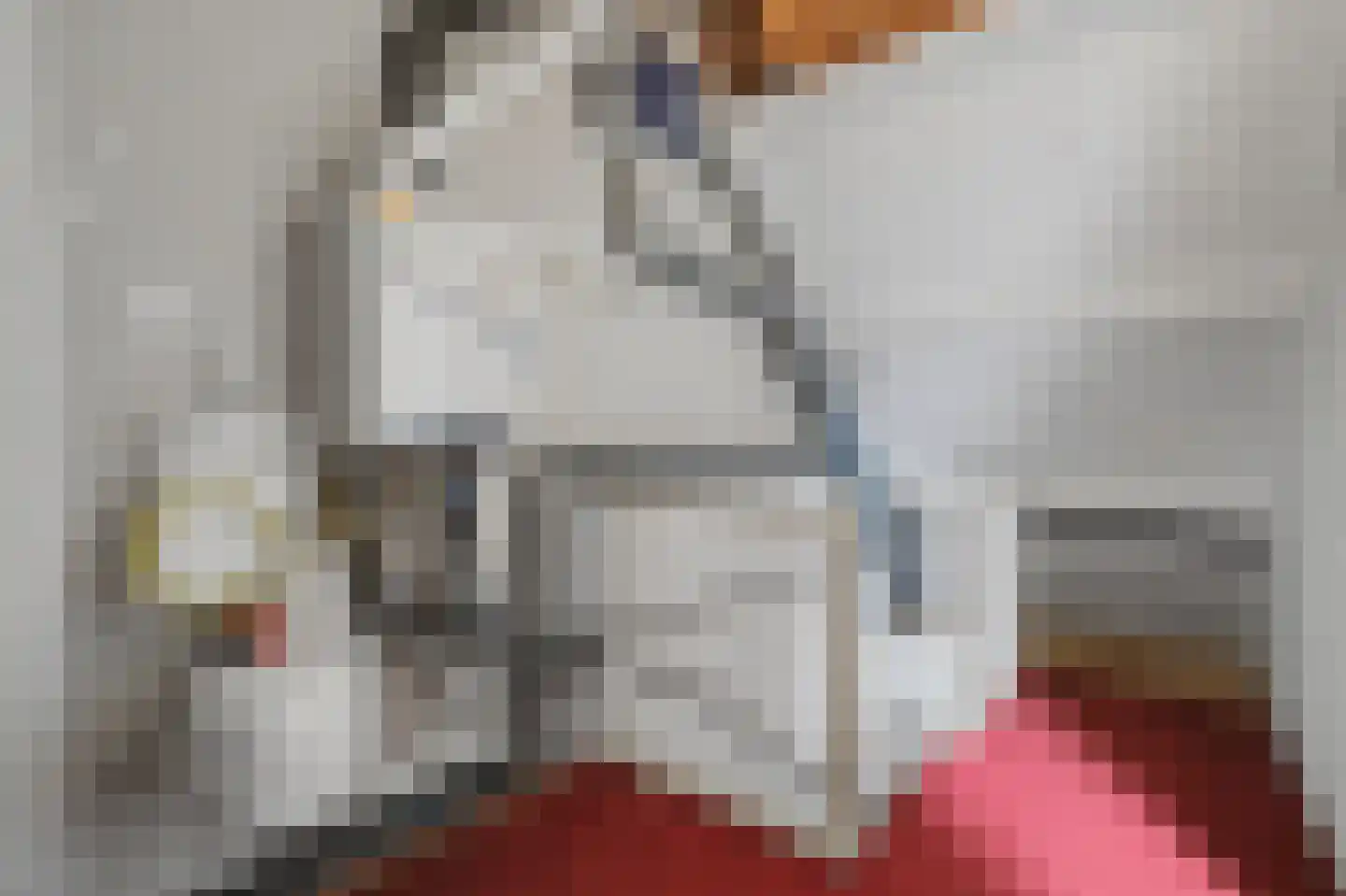 Walserij 2 Alkmaar thumbnail 21