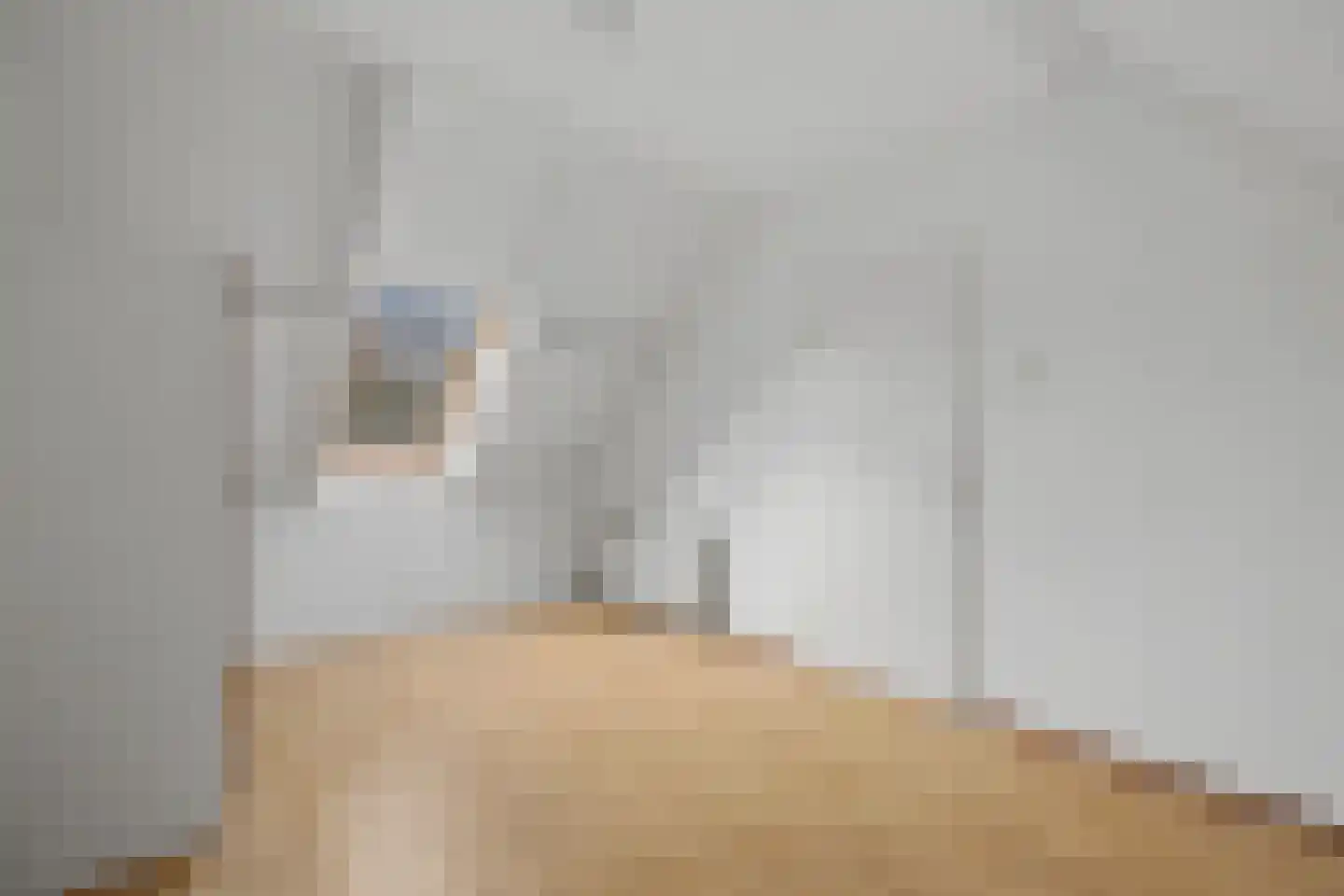 Walserij 2 Alkmaar thumbnail 24