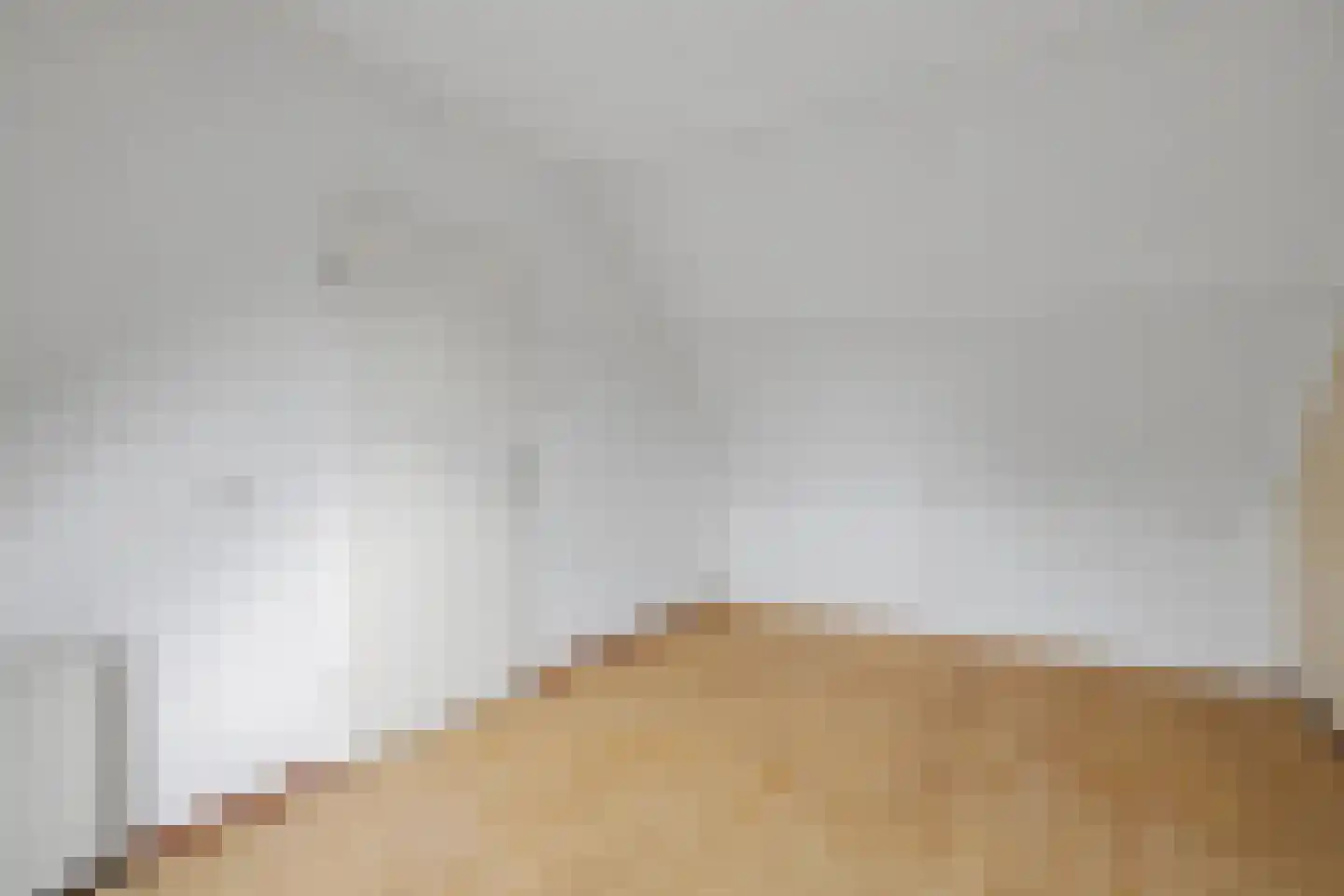 Walserij 2 Alkmaar thumbnail 25