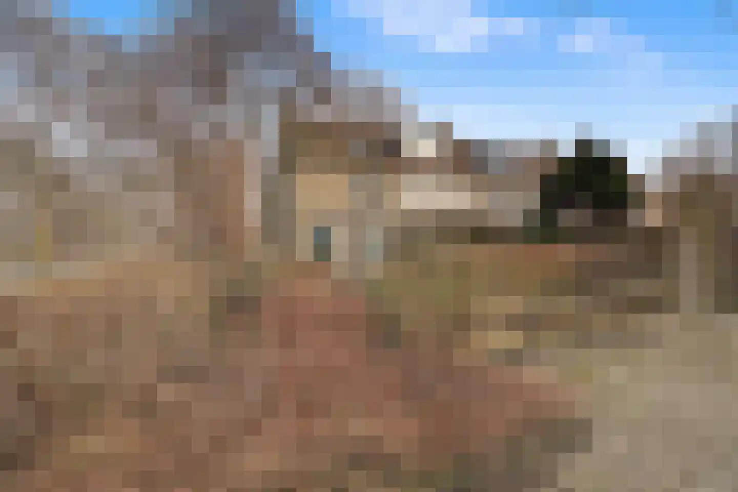 Walserij 2 Alkmaar thumbnail 31