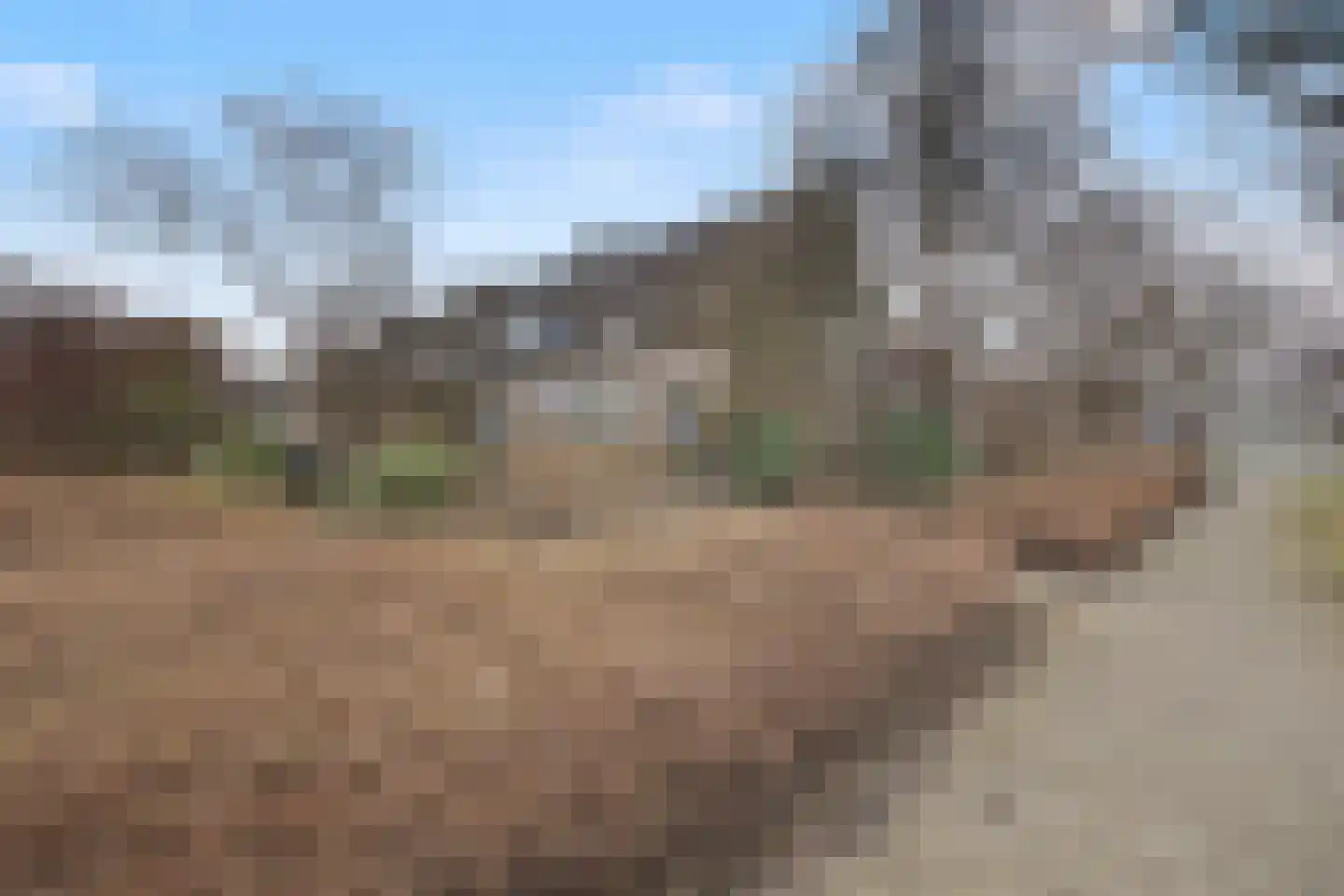 Walserij 2 Alkmaar thumbnail 32