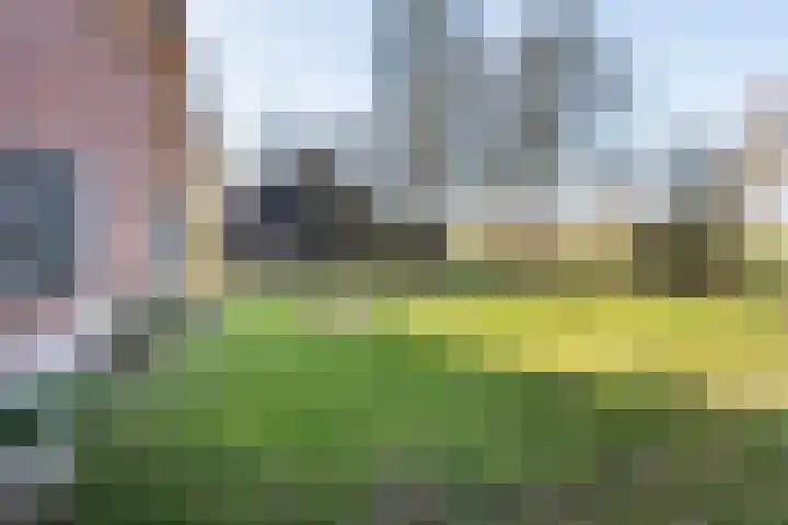 Walseweg 18 A Gendringen thumbnail 46