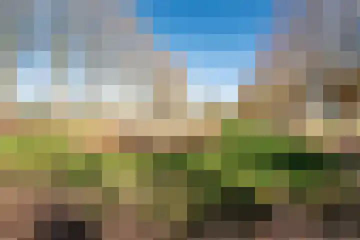Walseweg 18 A Gendringen thumbnail 64