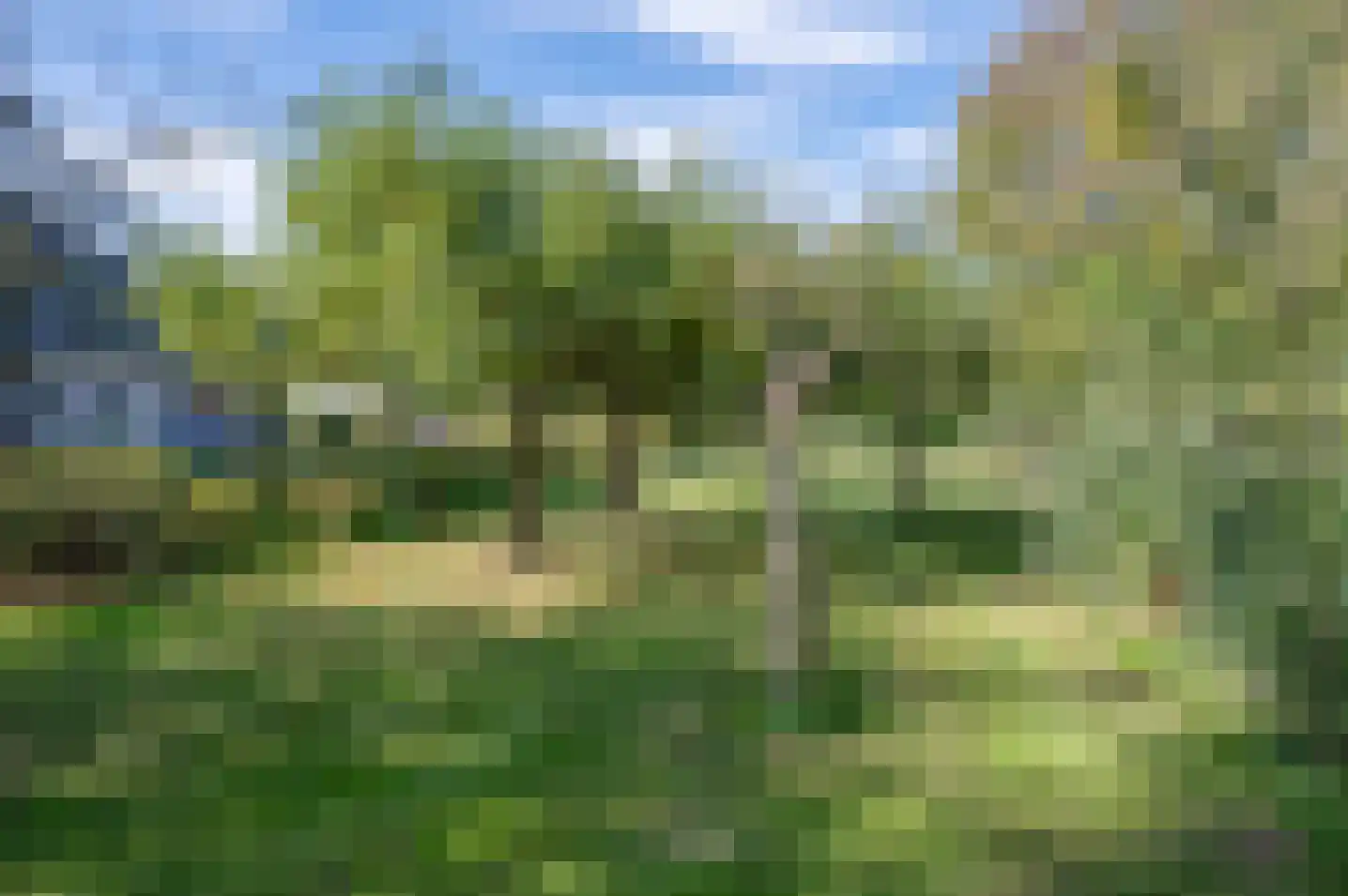 Walseweg 7 Gendringen thumbnail 17