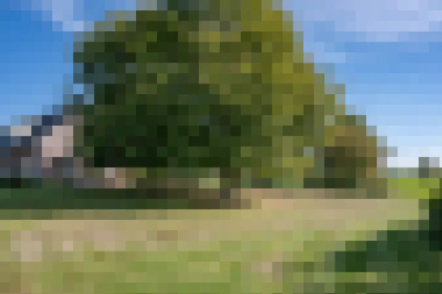 Walseweg 7 Gendringen thumbnail 30
