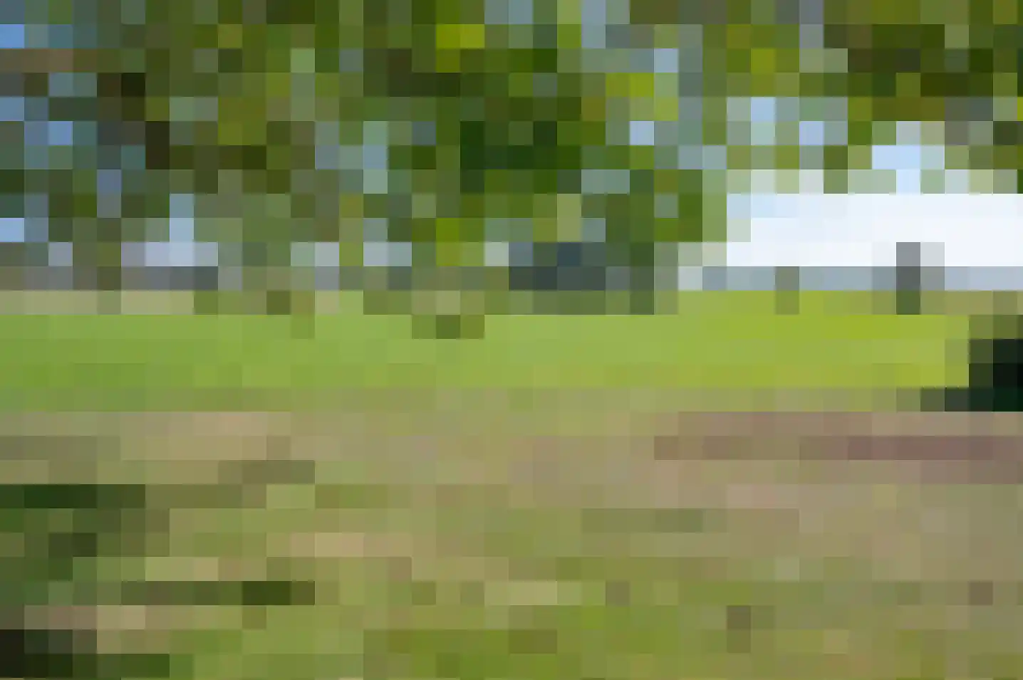 Walseweg 7 Gendringen thumbnail 4