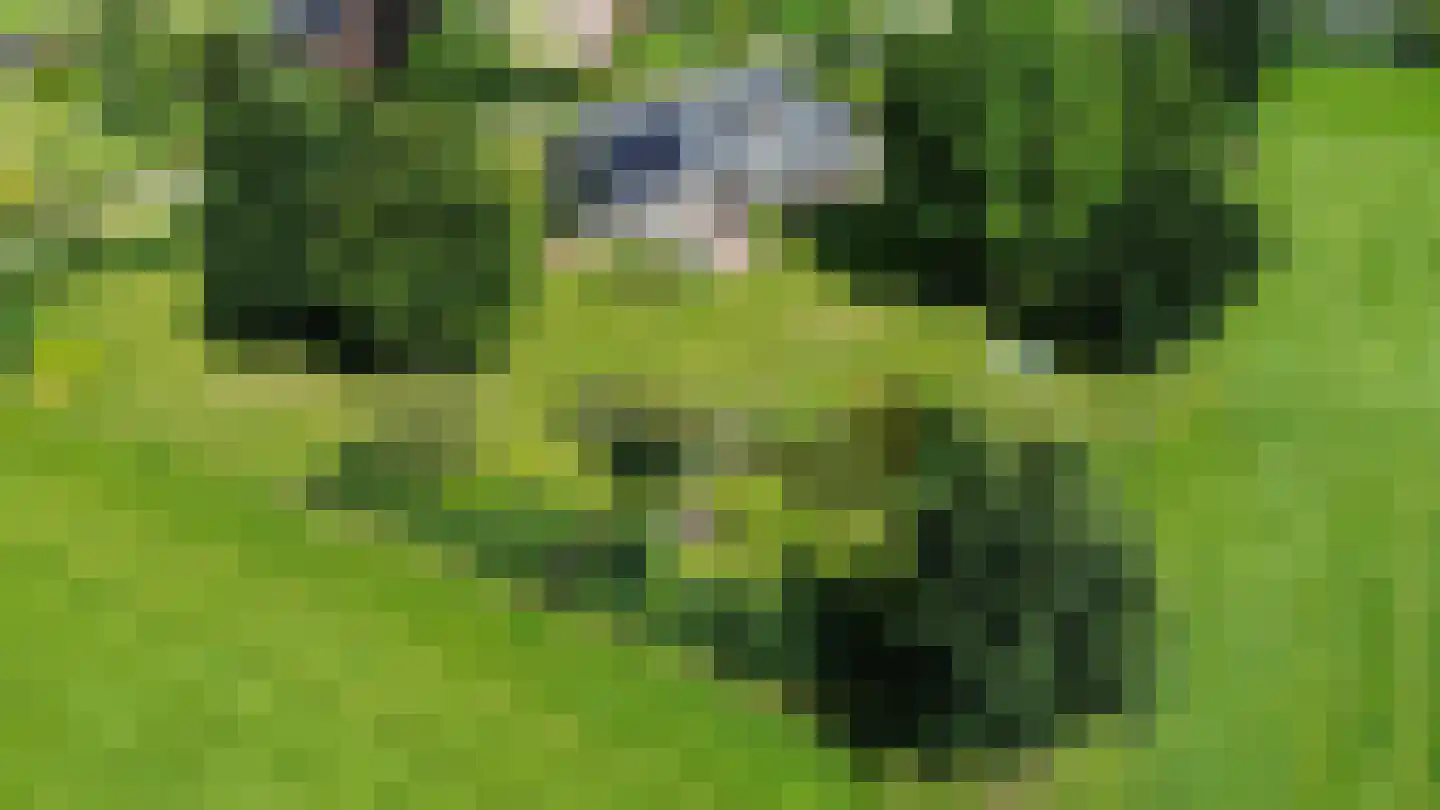 Walseweg 7 Gendringen thumbnail 5