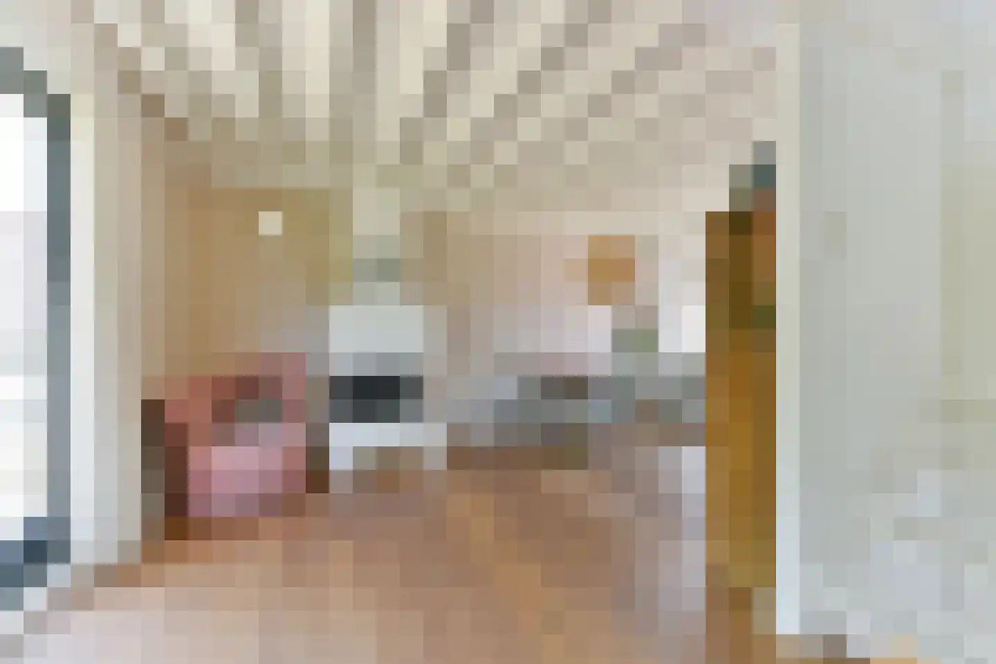 Walsland 2 Vianen thumbnail 11