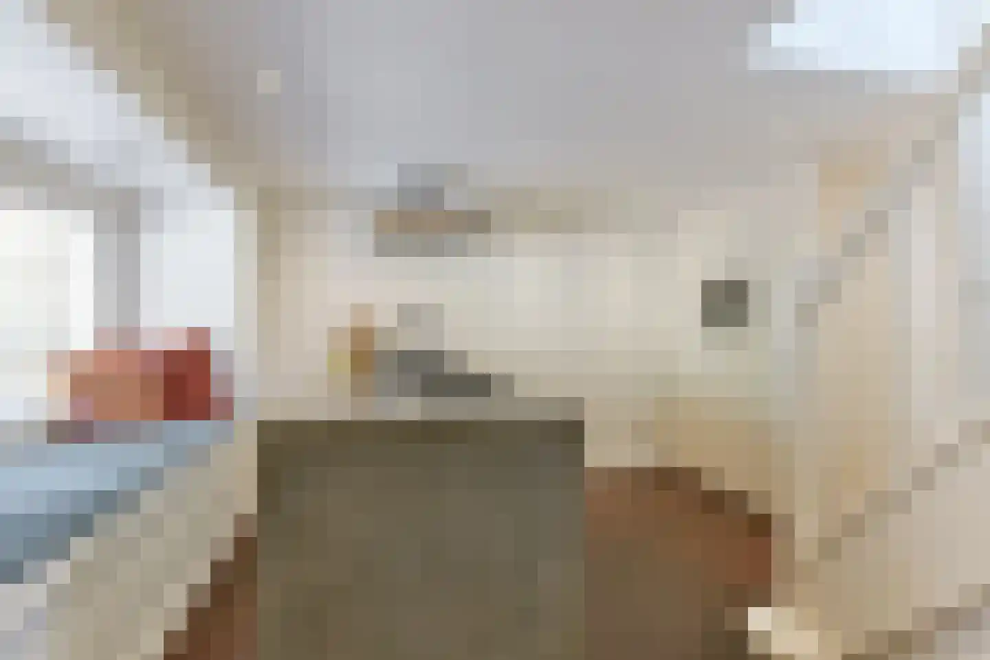 Walsland 2 Vianen thumbnail 20