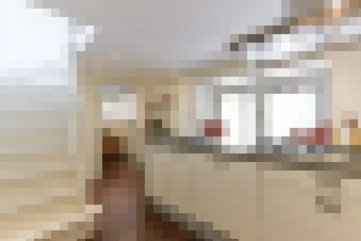 Walsland 2 Vianen thumbnail 23