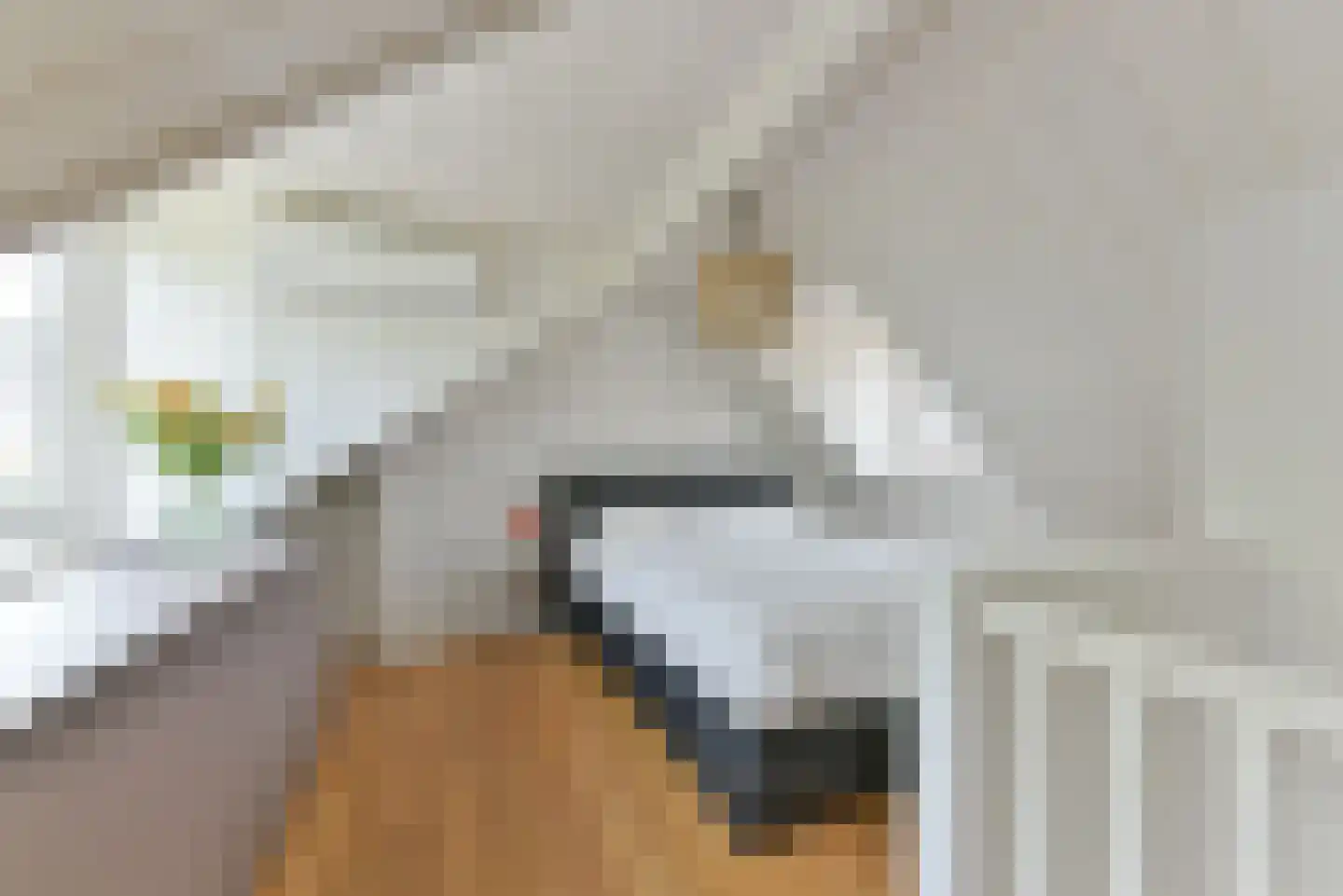 Walsland 2 Vianen thumbnail 30