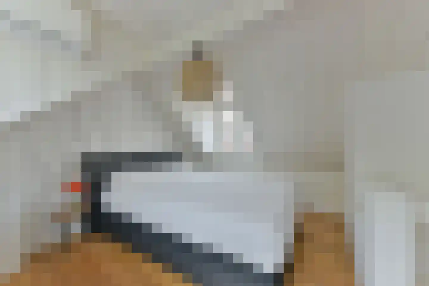 Walsland 2 Vianen thumbnail 31
