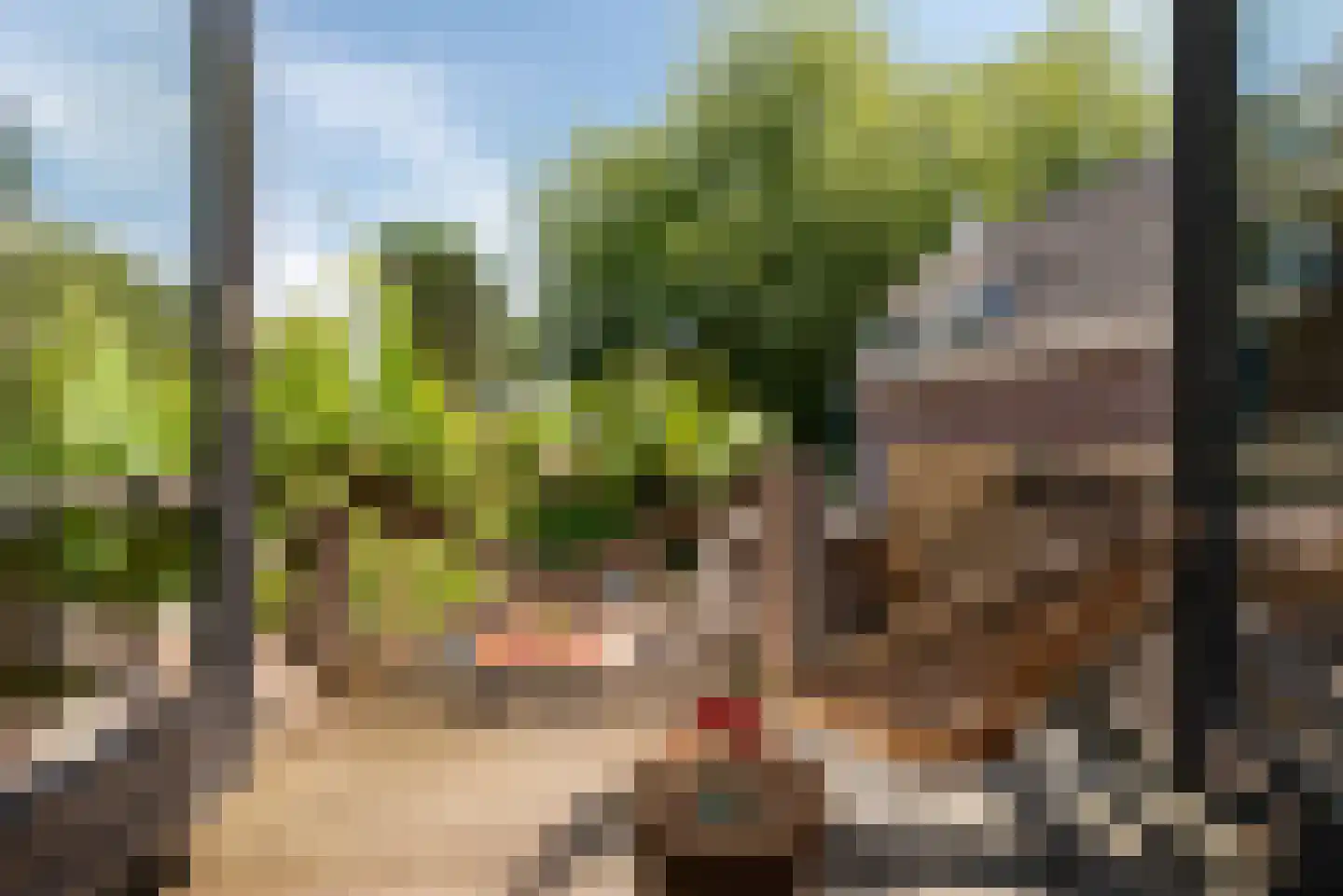 Walsland 2 Vianen thumbnail 36