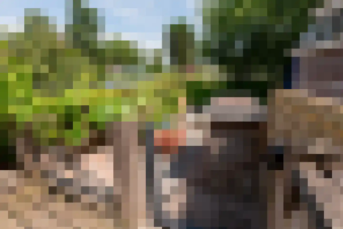 Walsland 2 Vianen thumbnail 37