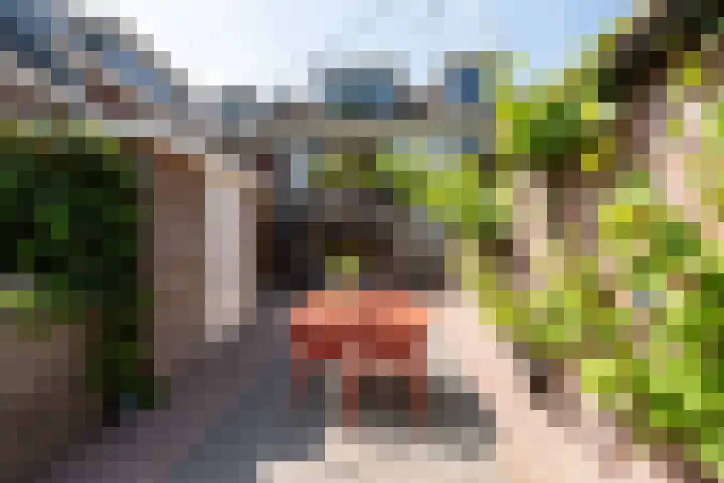 Walsland 2 Vianen thumbnail 38