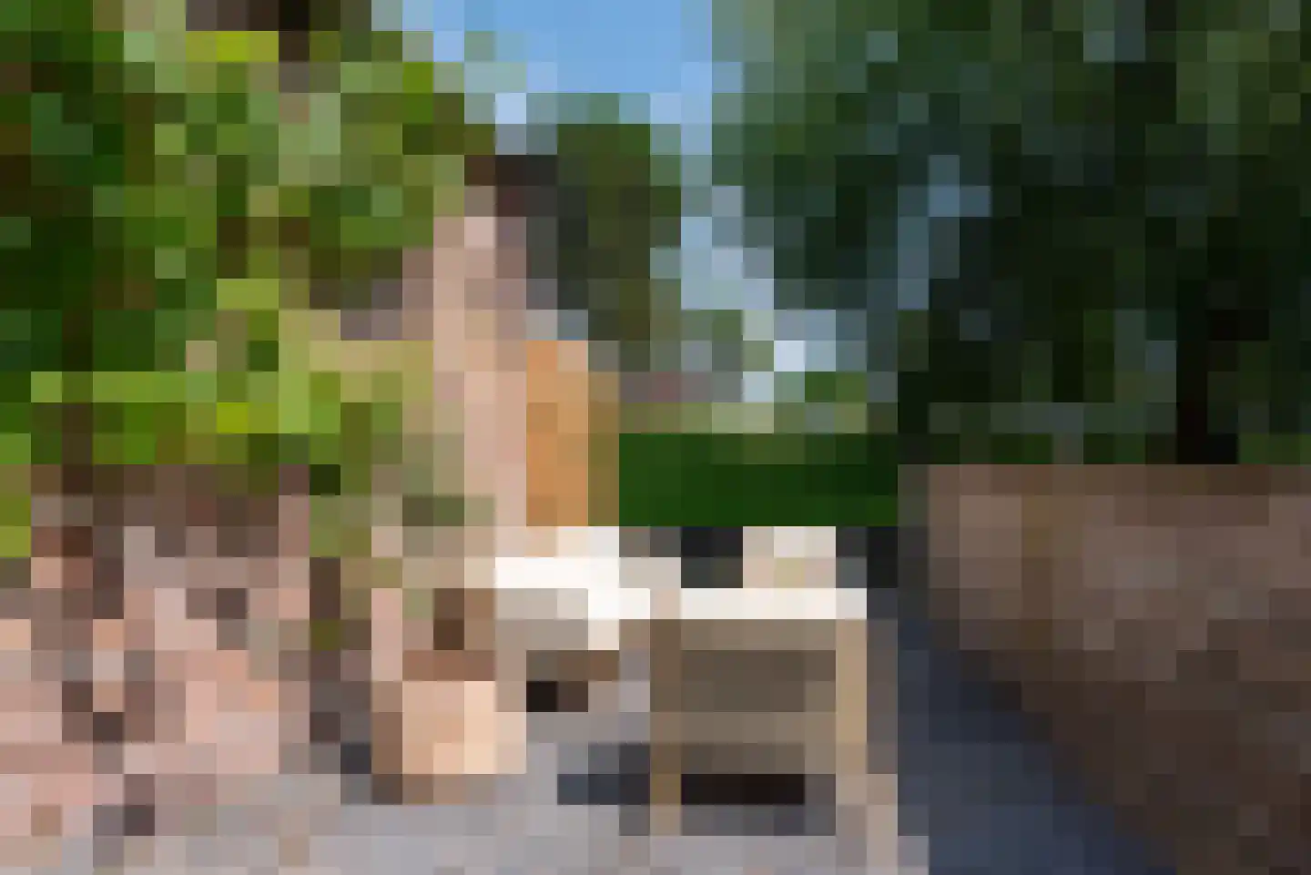 Walsland 2 Vianen thumbnail 39