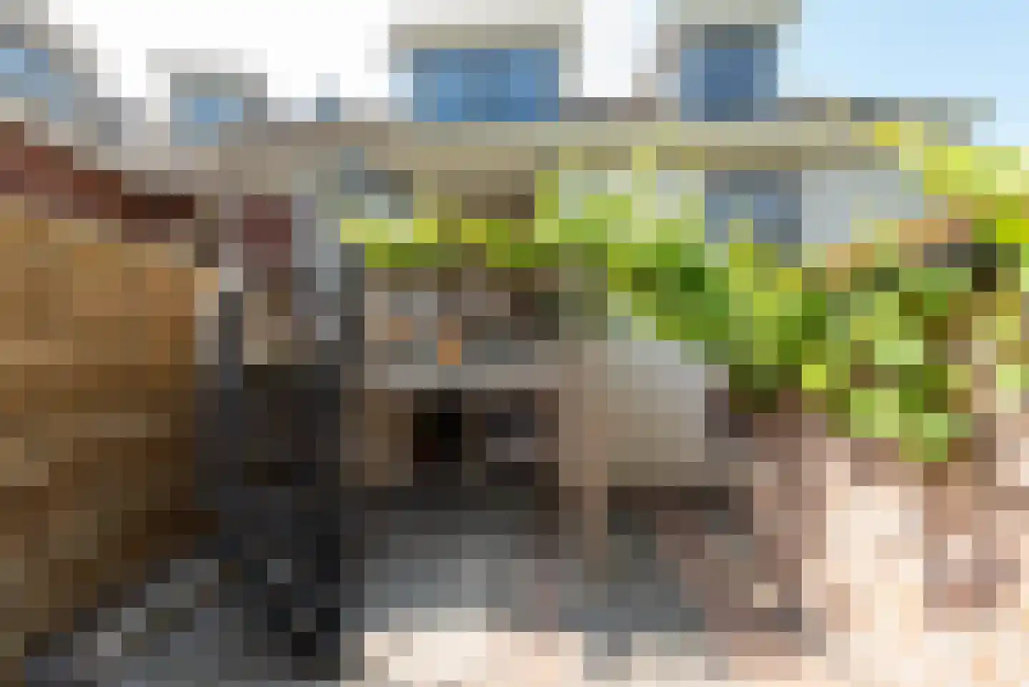 Walsland 2 Vianen thumbnail 40