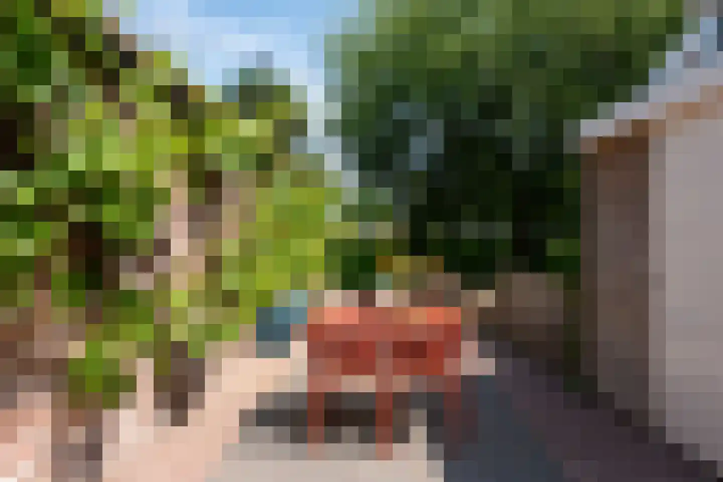 Walsland 2 Vianen thumbnail 41