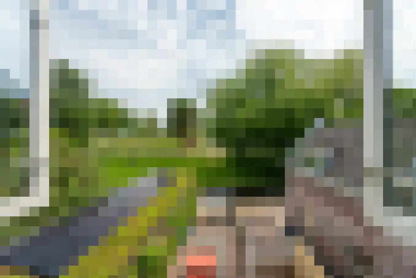 Walsland 2 Vianen thumbnail 42