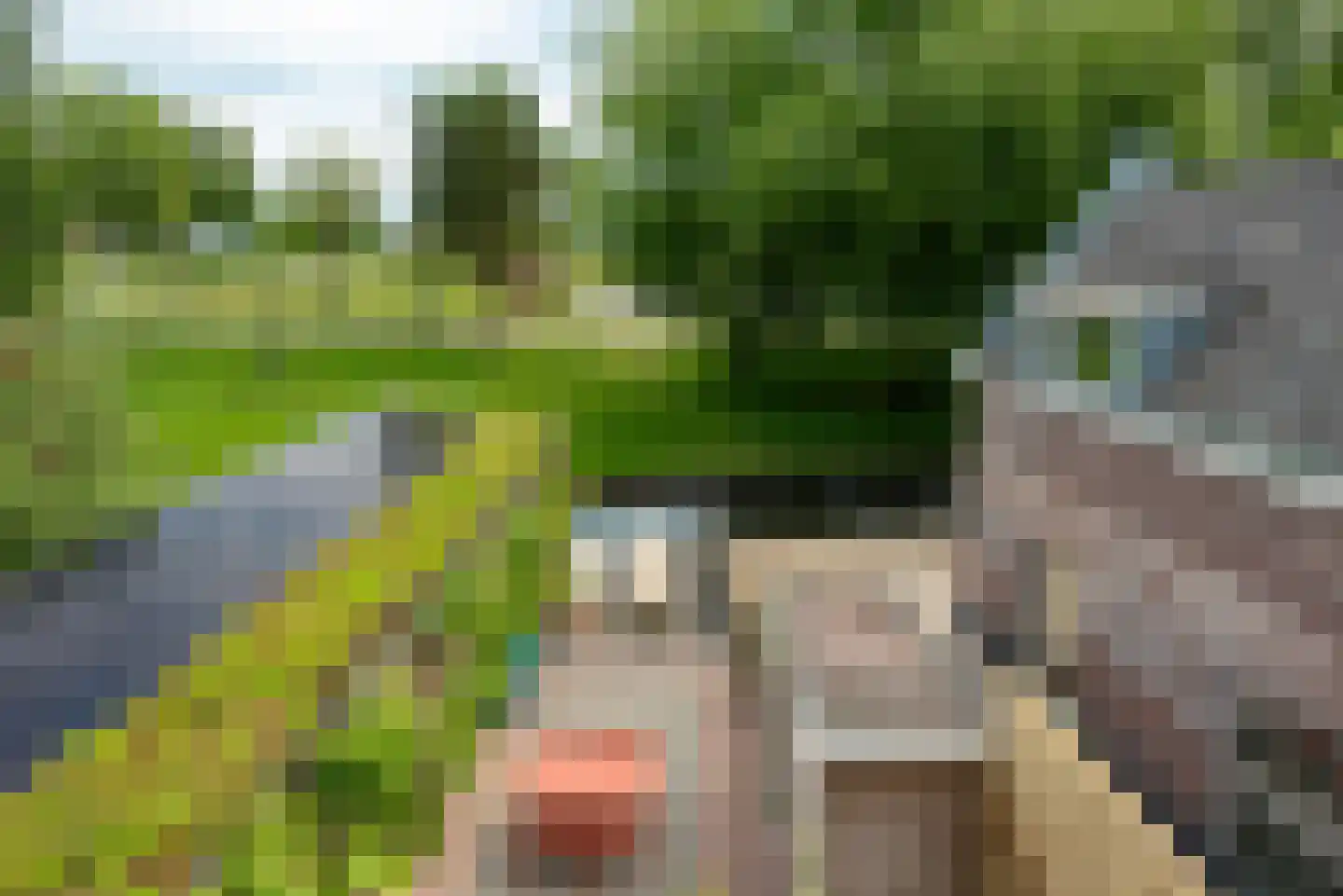 Walsland 2 Vianen thumbnail 43