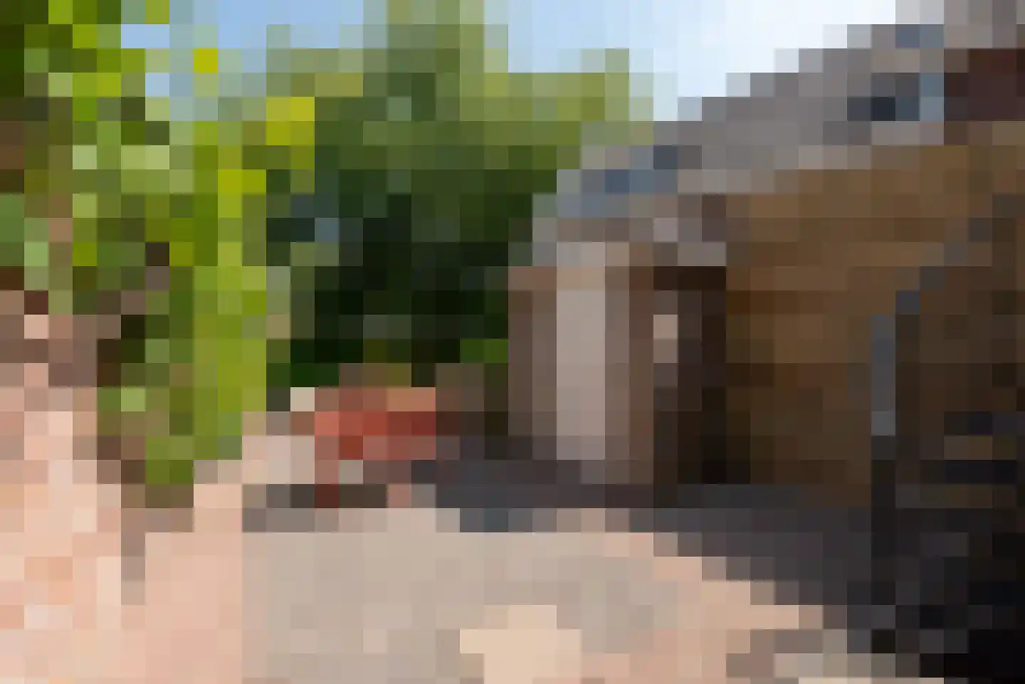 Walsland 2 Vianen thumbnail 44