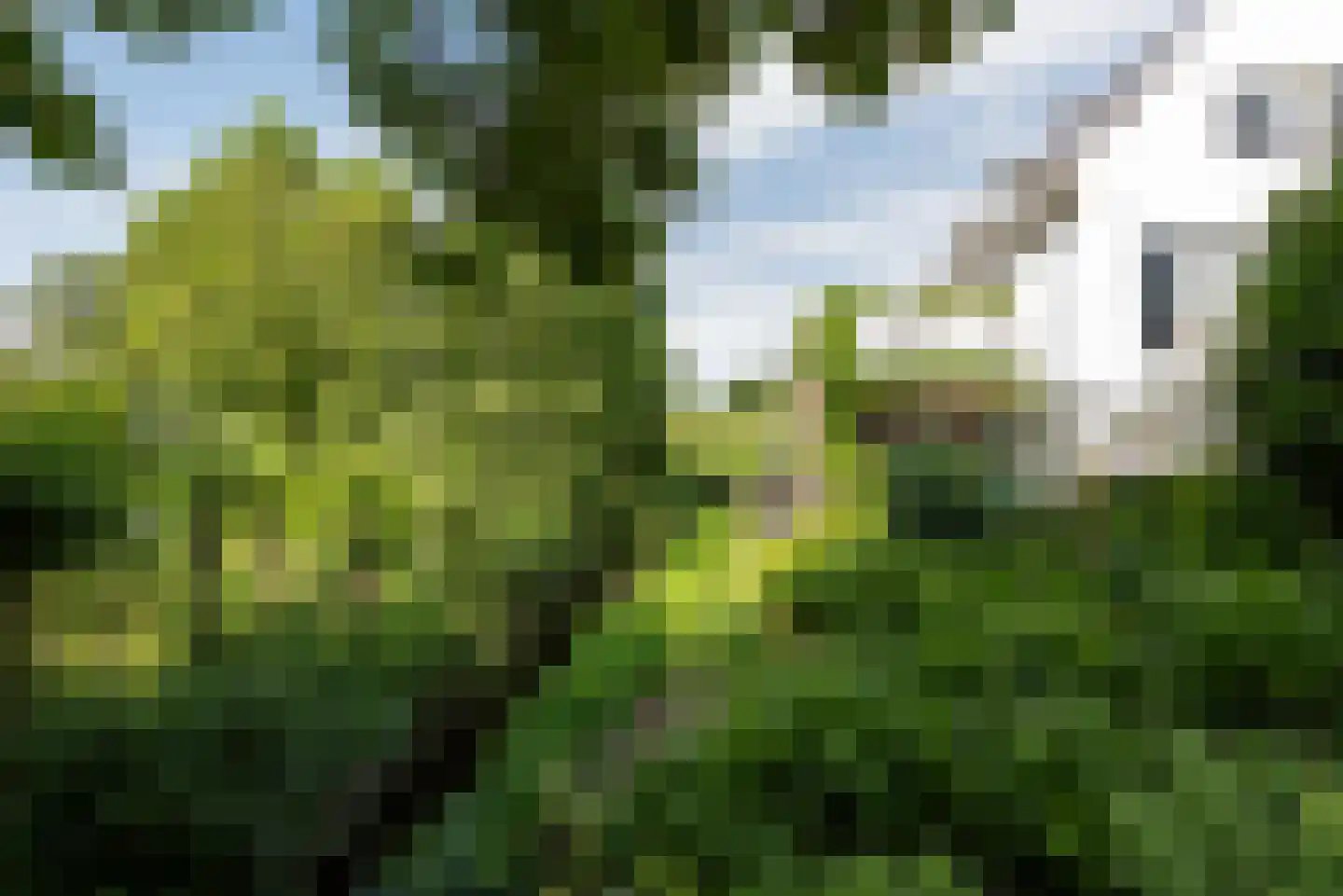 Walsland 2 Vianen thumbnail 47
