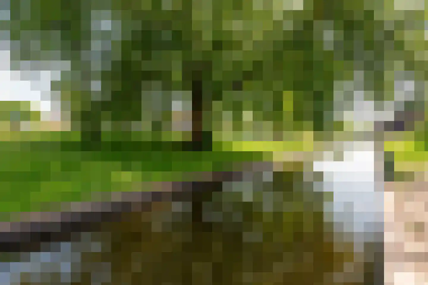 Walsland 2 Vianen thumbnail 49