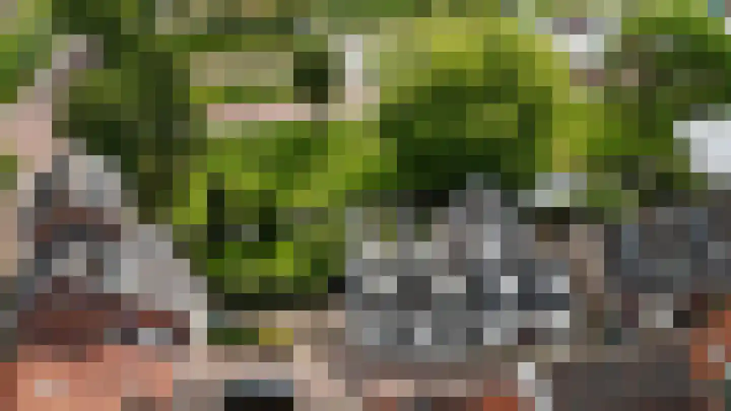 Walsland 2 Vianen thumbnail 52